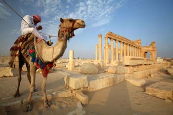 <b>Syria, Palmyra</b>, Camel