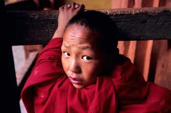 <b>Bhutan, Wangdiphodrang</b>, A young monk looking at the camera
